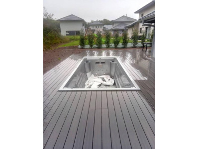 swim spa pool